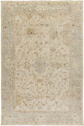 Surya Normandy NOY-8002 Area Rug 6' x 9'