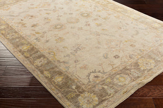 Surya Normandy NOY-8004 Area Rug Corner Shot Feature