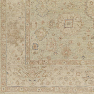 Surya Normandy NOY-8009 Area Rug