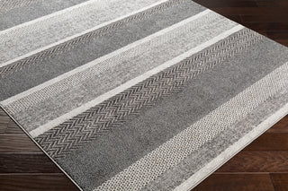 Surya Nepali NPI-2302 Area Rug  Feature