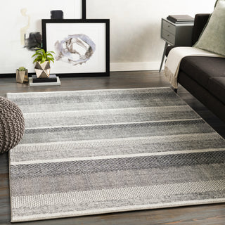 Livabliss Nepali NPI-2303 Area Rug