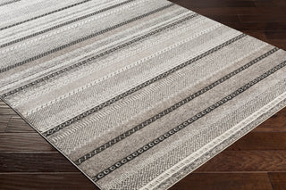 Surya Nepali NPI-2311 Area Rug  Feature