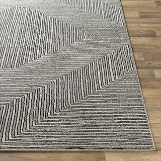 Livabliss Nepali NPI-2316 Area Rug