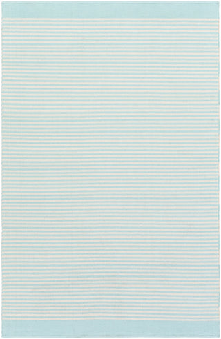 Surya Newport NPT-4002 Aqua Hand Woven Area Rug 