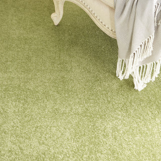 Nourison Essentials NRE01 Green Area Rug