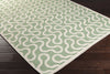 Surya Native NTV-7005 Sea Foam Hand Woven Area Rug by Aimee Wilder 5x8 Corner