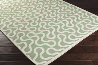 Surya Native NTV-7005 Sea Foam Hand Woven Area Rug by Aimee Wilder 5x8 Corner