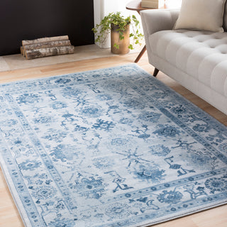 Surya Nova NVA-3024 Area Rug Room Scene Feature