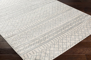 Livabliss Norwich NWC-2303 Area Rug