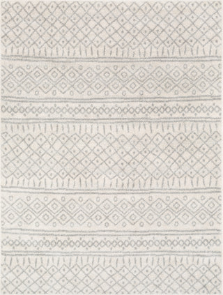 Livabliss Norwich NWC-2303 Area Rug