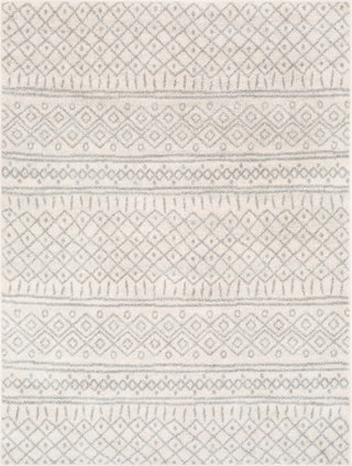 Livabliss Norwich NWC-2303 Area Rug