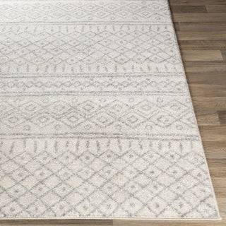 Livabliss Norwich NWC-2303 Area Rug