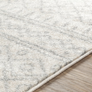 Livabliss Norwich NWC-2303 Area Rug