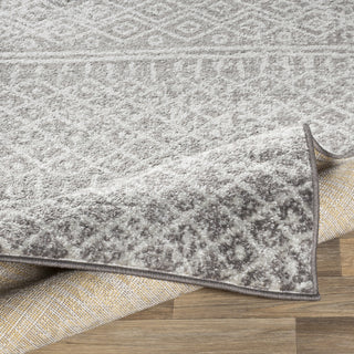 Surya Norwich NWC-2304 Area Rug