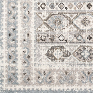 Surya Norwich NWC-2313 Area Rug