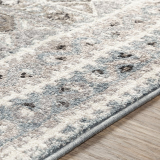 Surya Norwich NWC-2313 Area Rug