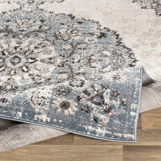 Surya Norwich NWC-2317 Area Rug