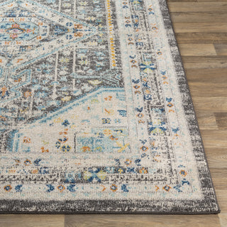 Livabliss Norwich NWC-2318 Area Rug