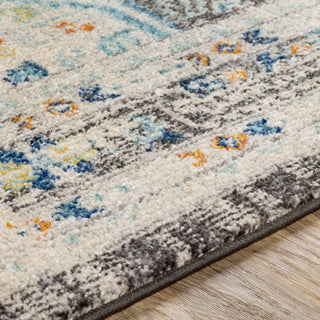 Livabliss Norwich NWC-2318 Area Rug