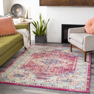 Surya Norwich NWC-2321 Area Rug