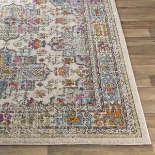 Surya Norwich NWC-2322 Area Rug