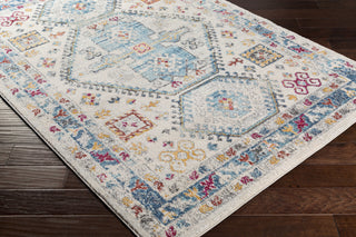 Livabliss Norwich NWC-2324 Area Rug