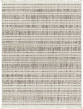 Surya New delhi NWH-2304 Area Rug main image