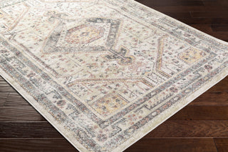 Livabliss New Mexico NWM-2301 Area Rug