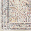 Livabliss New Mexico NWM-2301 Area Rug