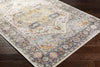 Surya New Mexico NWM-2304 Area Rug