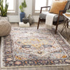 Surya New Mexico NWM-2304 Area Rug Room Scene Feature