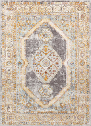 Surya New Mexico NWM-2307 Area Rug