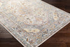 Livabliss New Mexico NWM-2309 Area Rug