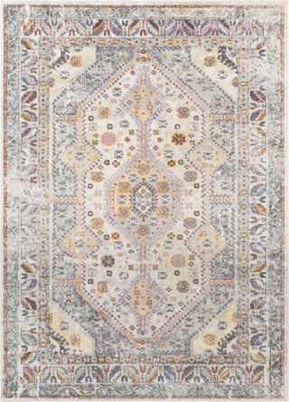 Livabliss New Mexico NWM-2309 Area Rug