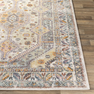 Livabliss New Mexico NWM-2309 Area Rug