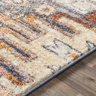 Livabliss New Mexico NWM-2310 Area Rug