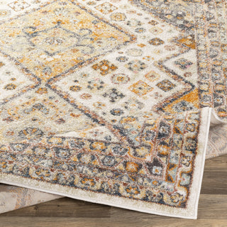 Surya New Mexico NWM-2313 Area Rug