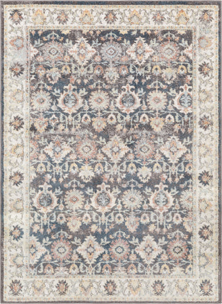 Livabliss New Mexico NWM-2316 Area Rug