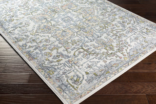 Livabliss New Mexico NWM-2318 Area Rug