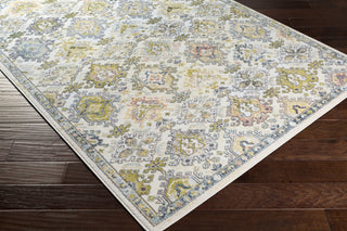 Surya New Mexico NWM-2338 Area Rug