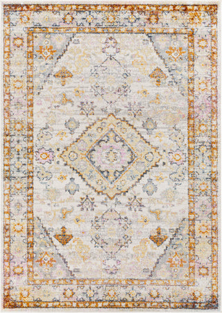 Surya New Mexico NWM-2346 Area Rug main image