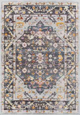 Surya New Mexico NWM-2347 Area Rug main image