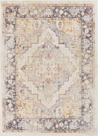 Surya New Mexico NWM-2355 Area Rug main image