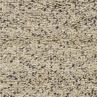 Surya Newton NWT-1001 Area Rug