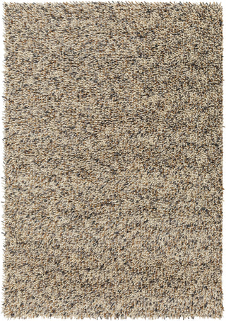 Surya Newton NWT-1003 Black/Brown Area Rug main image