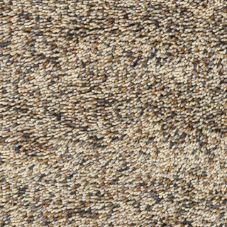 Surya Newton NWT-1003 Black/Brown Area Rug 