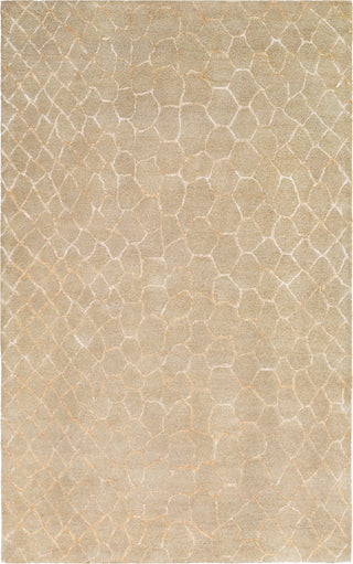 Surya Naya NY-5275 Khaki Beige Area Rug main image