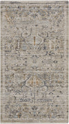 Nourison Nyle NYE02 Ivory Taupe Area Rug Texture Image