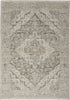 Nourison Nyle NYE04 Ivory Taupe Area Rug Room Image