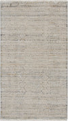 Nourison Nyle NYE06 Ivory Multicolor Area Rug Texture Image
